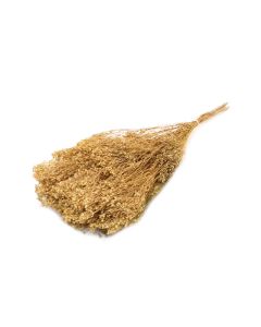 Broom bloom x 100g Natural