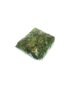 Mahovina nordijska 500g