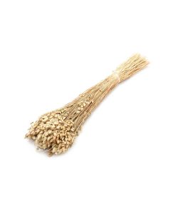 Briza max 100g natural