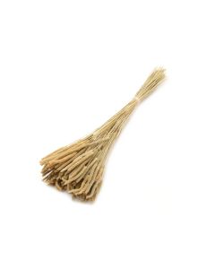 Phleum Code x 100g Natural