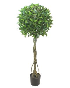 Lovor drvo kugla 150cm