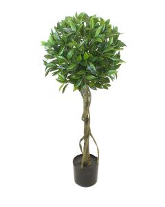 Lovor drvo kugla 120cm