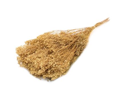 Broom bloom x 100g Natural