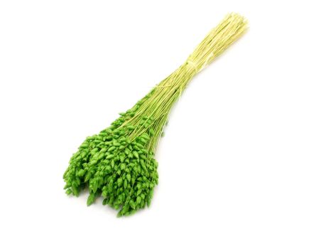 Briza max 100g