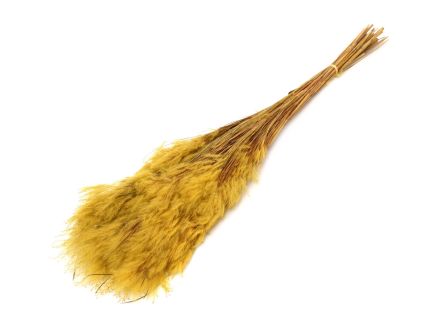 Pluminia grass 100g