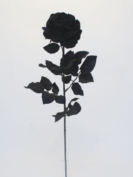 Ruža grana