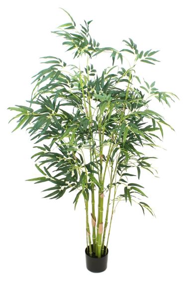 Bambus 180cm