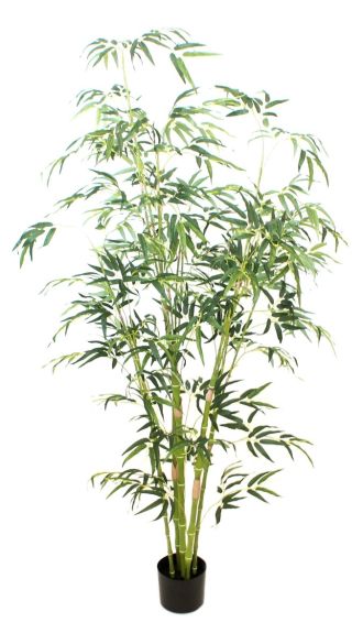 Bambus 210cm