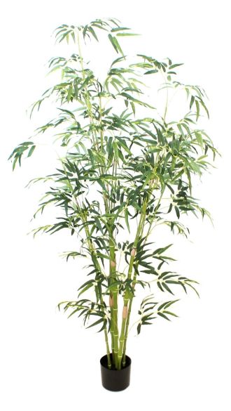 Bambus 195cm