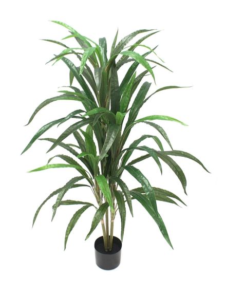 Ukrasno drvo 130cm