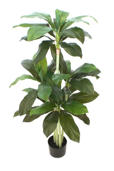 Ukrasno drvo 110 cm