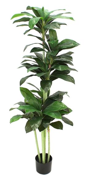 Ukrasno drvo 160cm